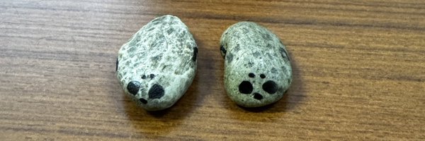 herserves Profile Banner