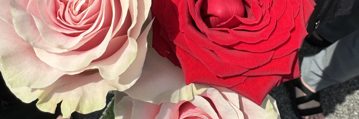 ArielMucci's profile banner image