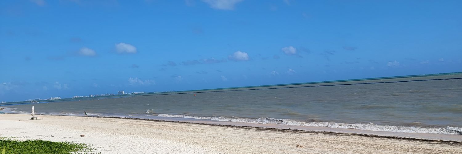 WokeMama's profile banner image