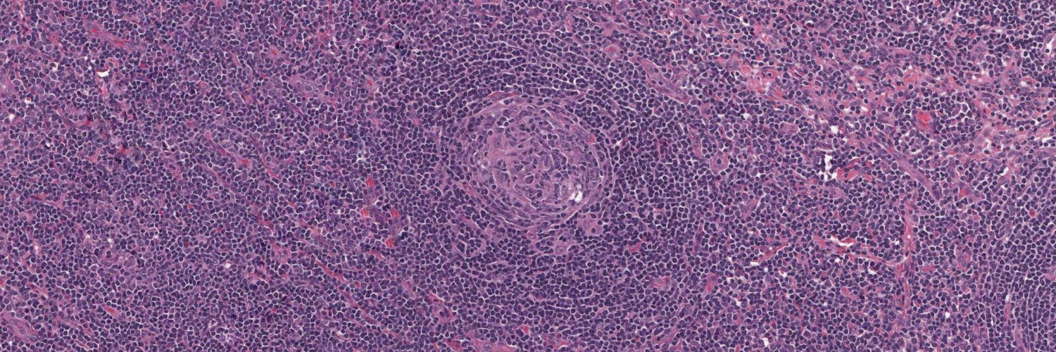 Juan Jose Sanchez Ramirez banner