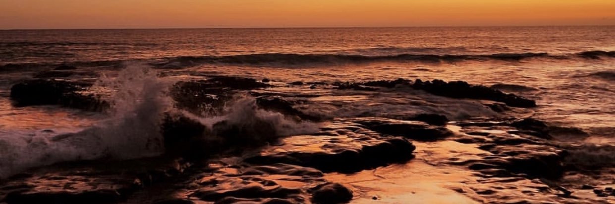 itsyoorch's profile banner image