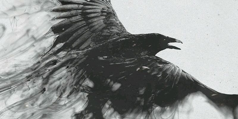 fahmirawan's profile banner image
