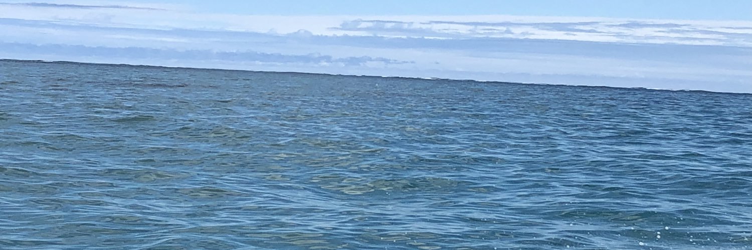 東シナ海の人工水🍆 ❔: banner
