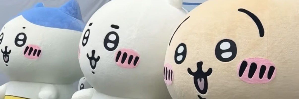unm_num17's profile banner image