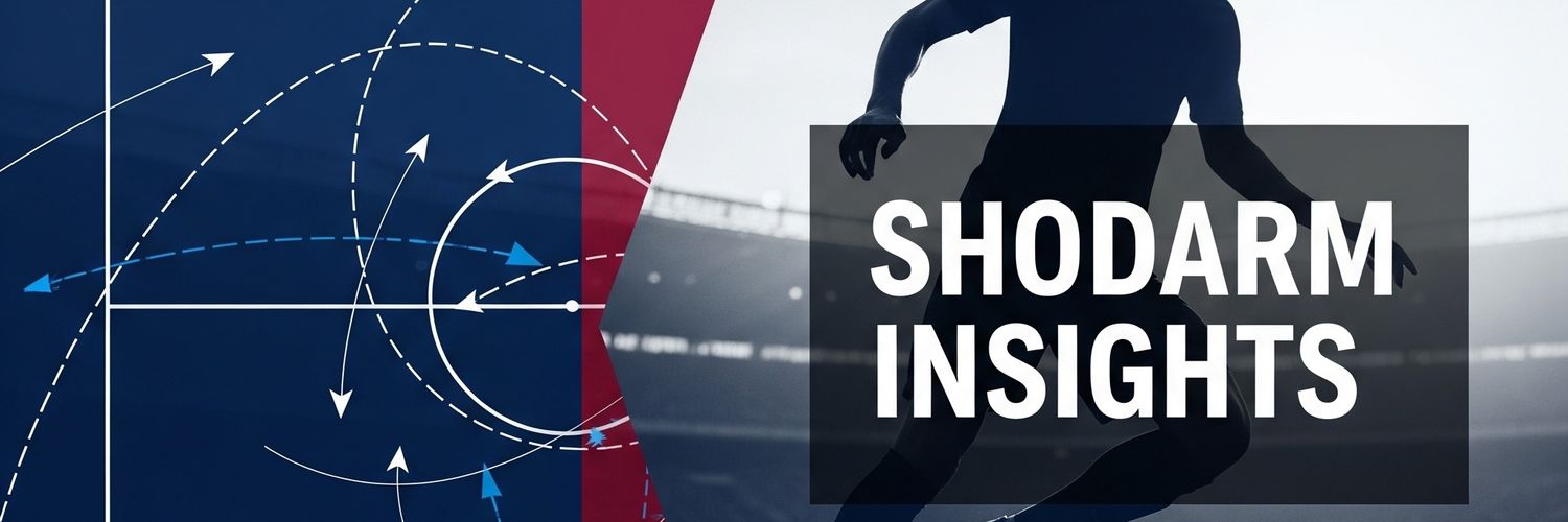 Shodarm Insights banner