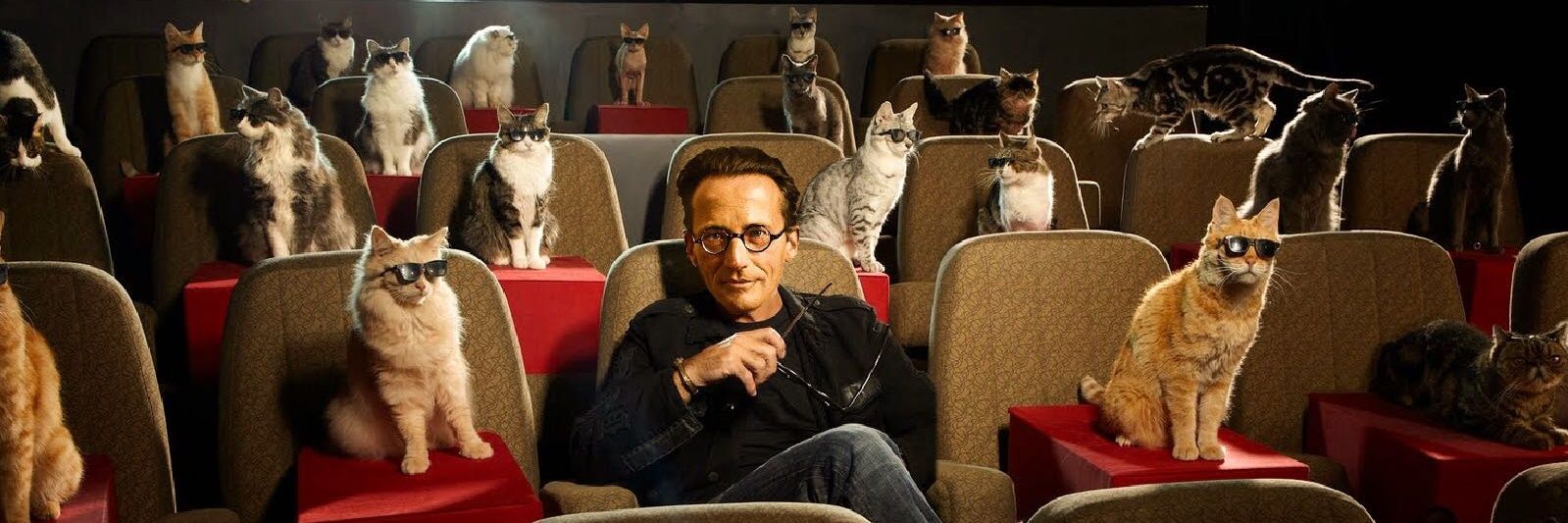 CineSchrodinger's profile banner image