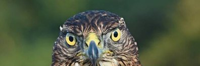 R0gerFl0yd's profile banner image