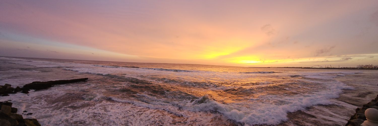 Nethmini Medawala banner