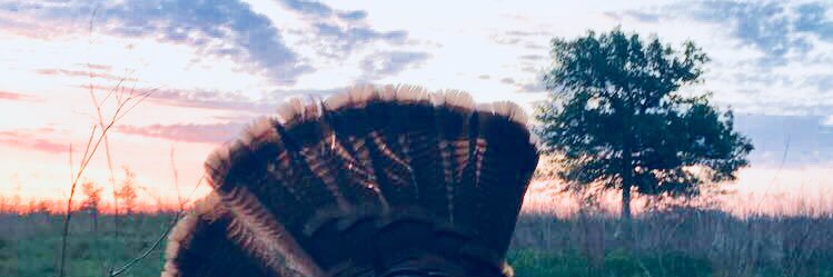 cody_oliphant's profile banner image