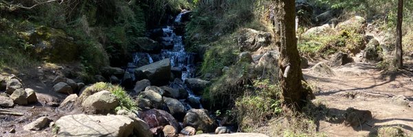 claraluzalvarez Profile Banner