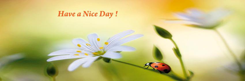 Sandeep Gowd banner