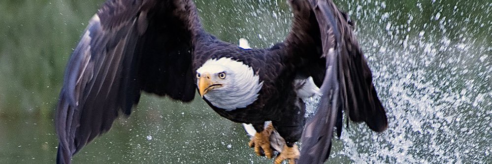 RayYeager17's profile banner image