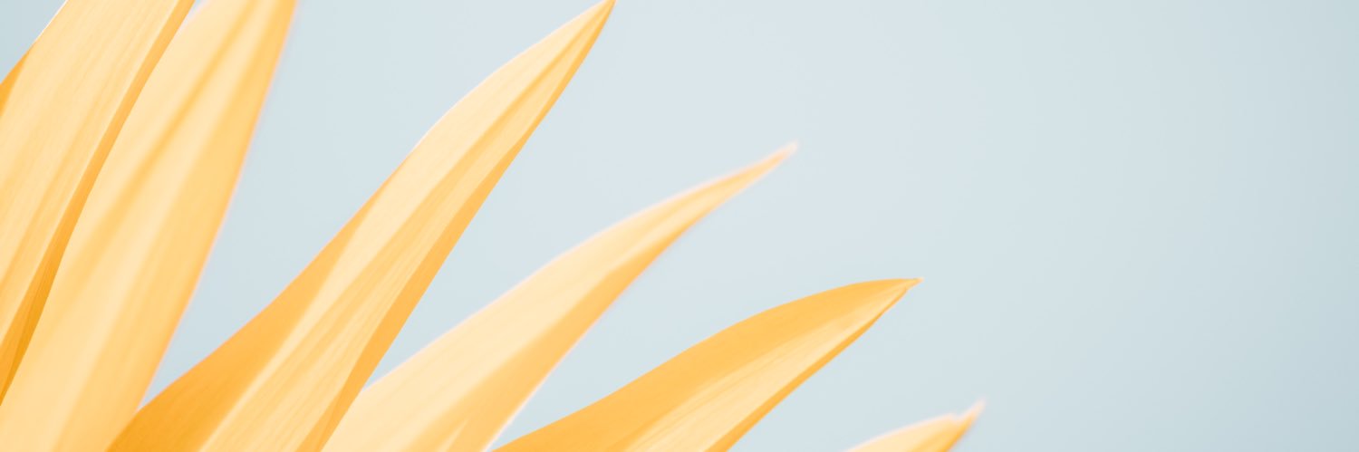 Drake_Heth's profile banner image