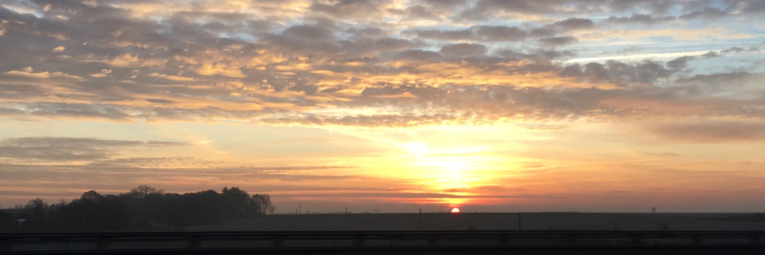 thepurpledahlia banner