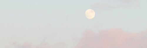 carmeenpc's profile banner image