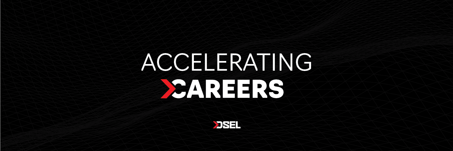 David Schaeffer Engineering Ltd. banner