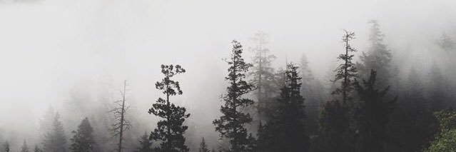 theblueswift's profile banner image