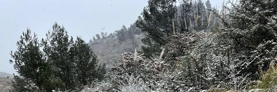 FabiGutierrezOK's profile banner image