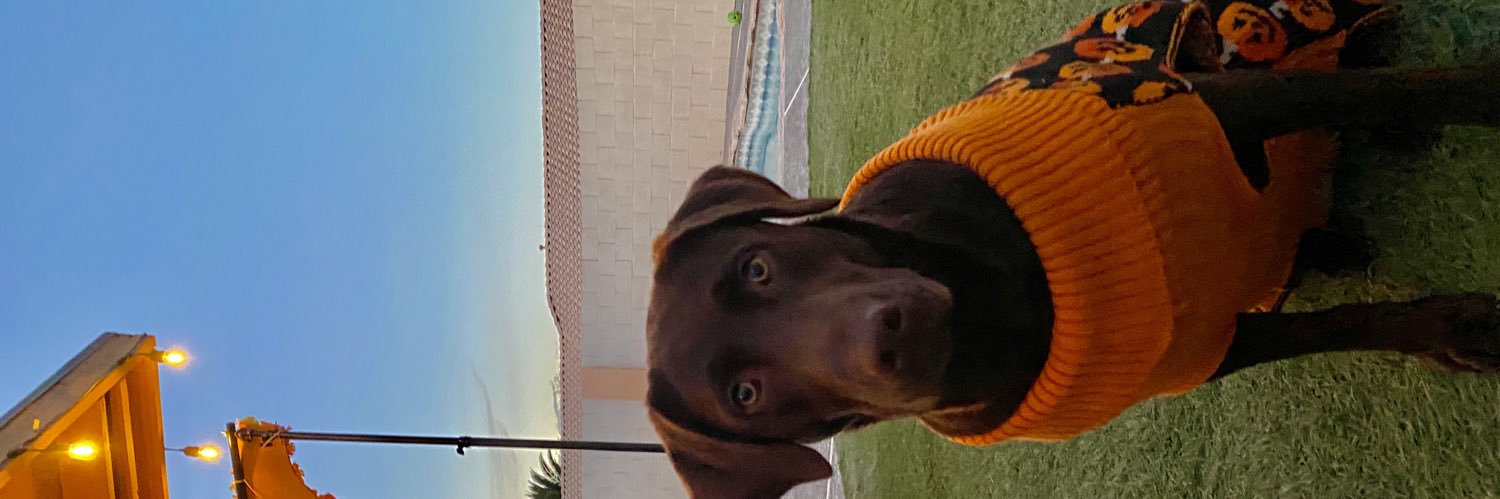 E_Lujano's profile banner image