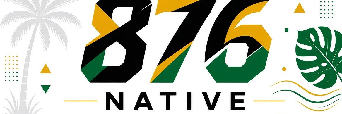 876native_'s profile banner image