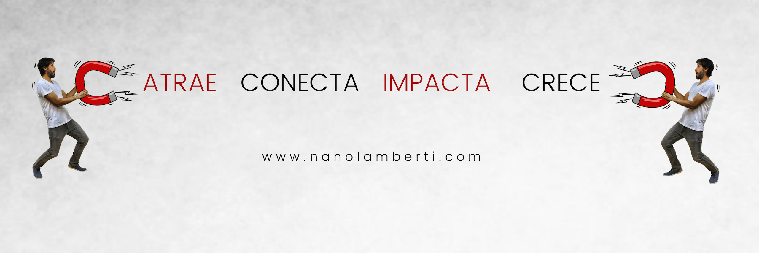 NanoLamberti's profile banner image