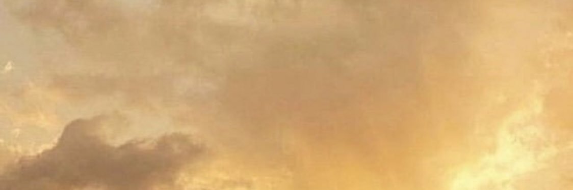 eisha_virk's profile banner image