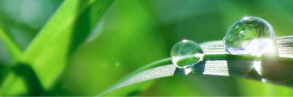 vitalegemeente's profile banner image