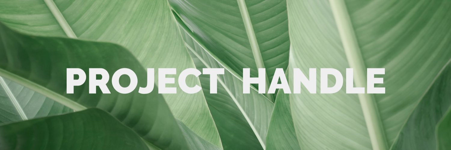 Project Handle banner