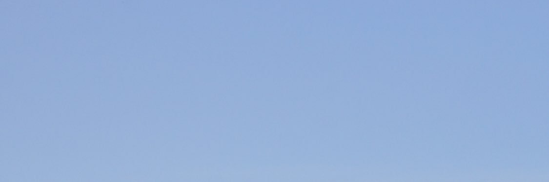 ℝ𝕀ℝ𝕀 banner