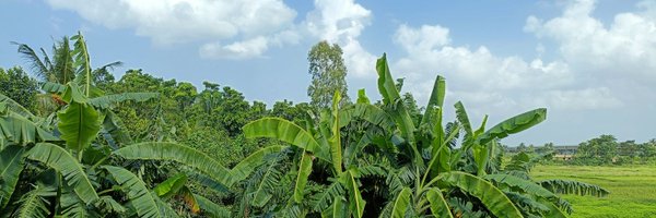shalineekumari_ Profile Banner