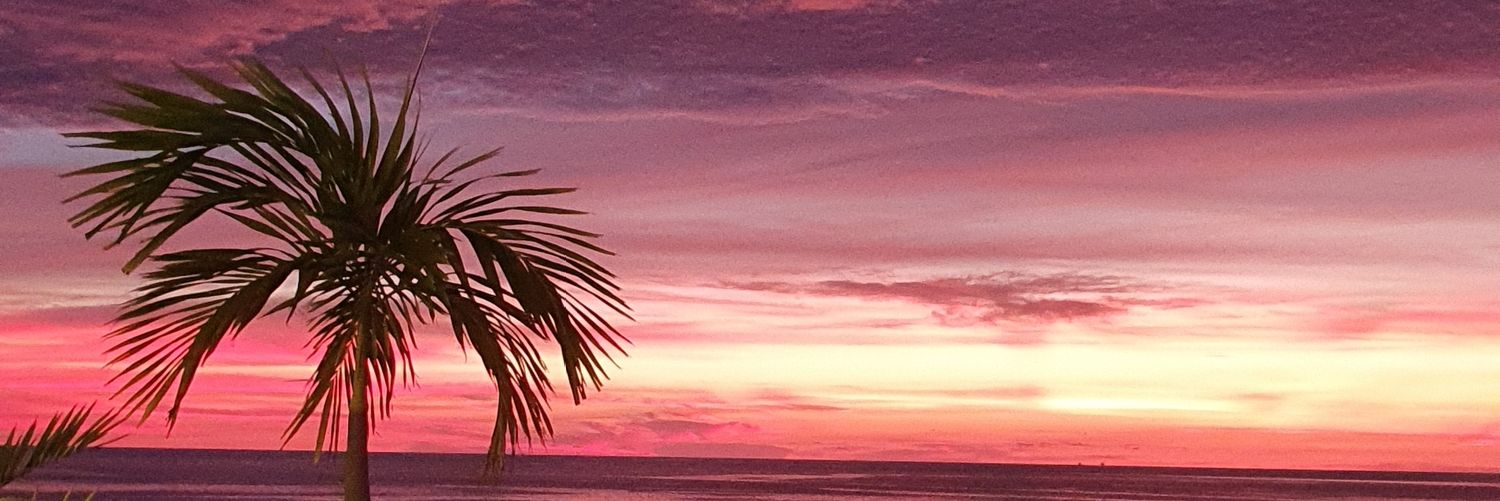 ncn316's profile banner image