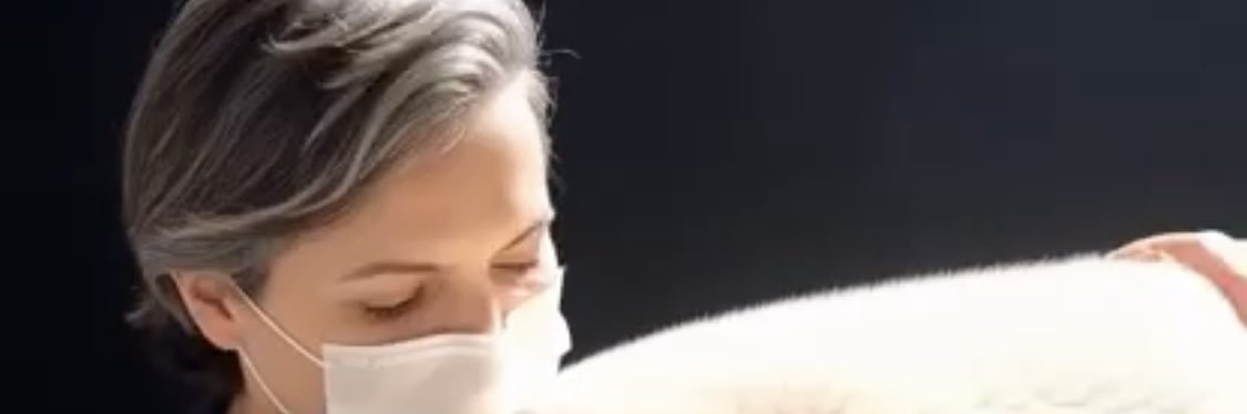 Carlos S. O.Alvarez banner