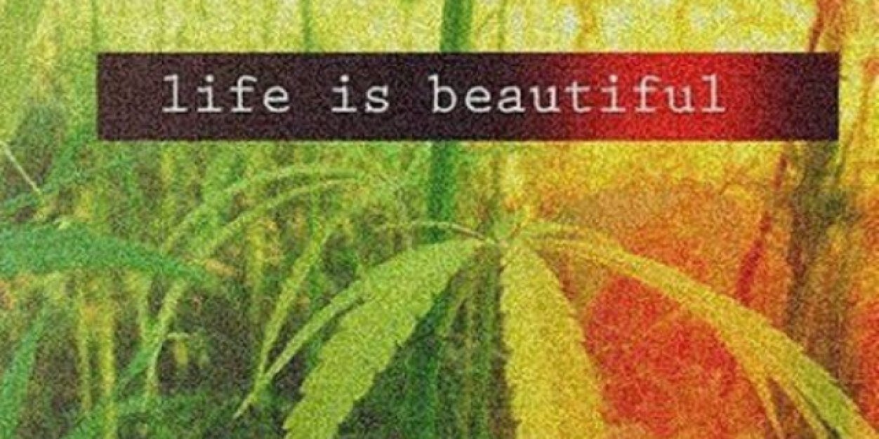 snapking4's profile banner image