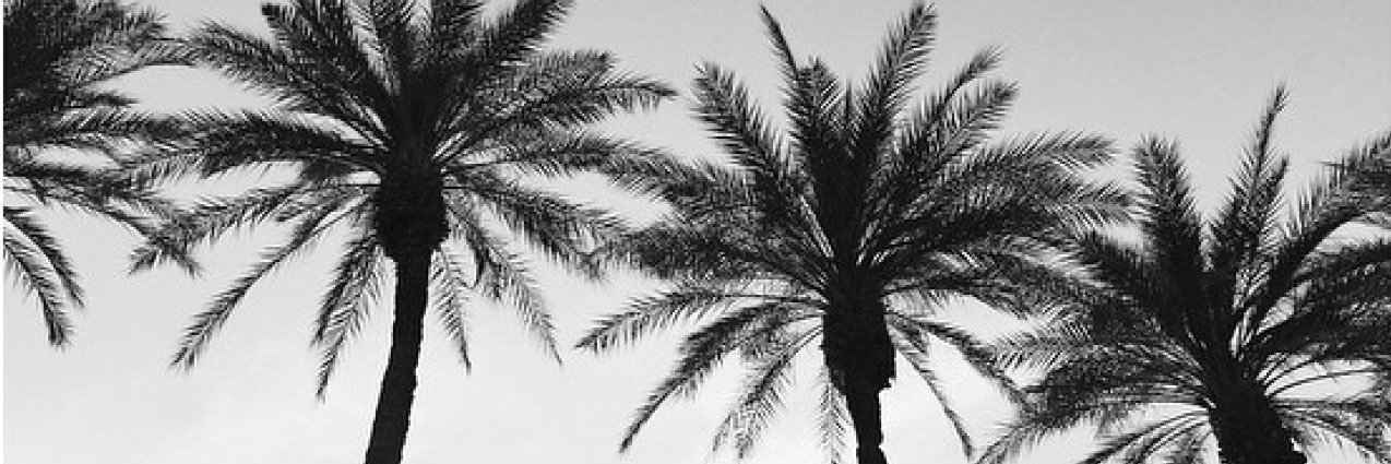 krndur_k's profile banner image