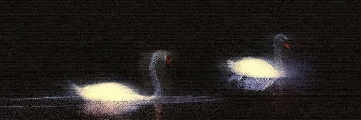 ‏gris banner
