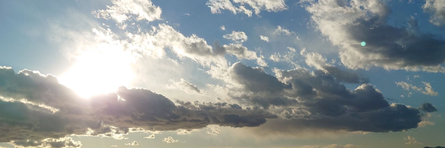 ヤンバルクイナ(略呼↠ヤン) banner