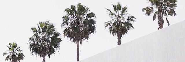 Liceet's profile banner image
