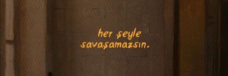 baytarii's profile banner image