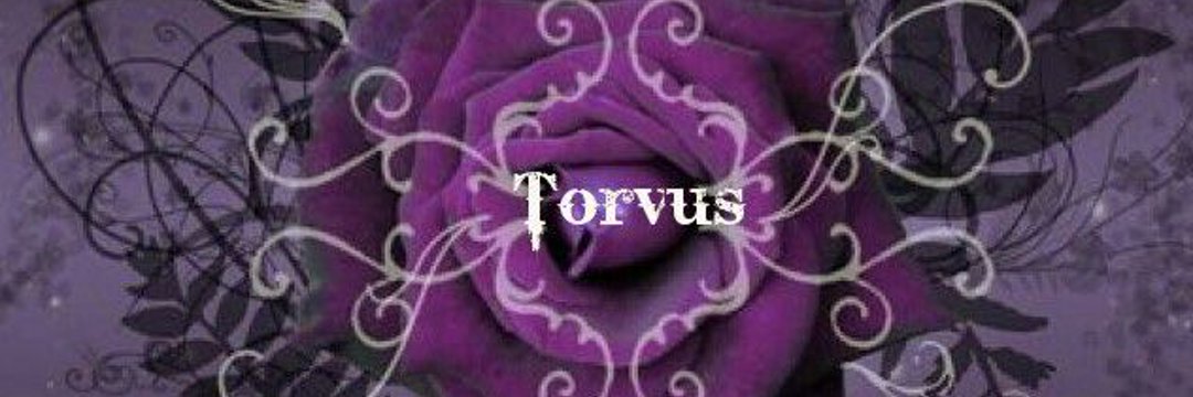 TorvyOwO banner