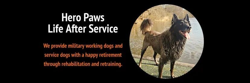 HERO PAWS's banner