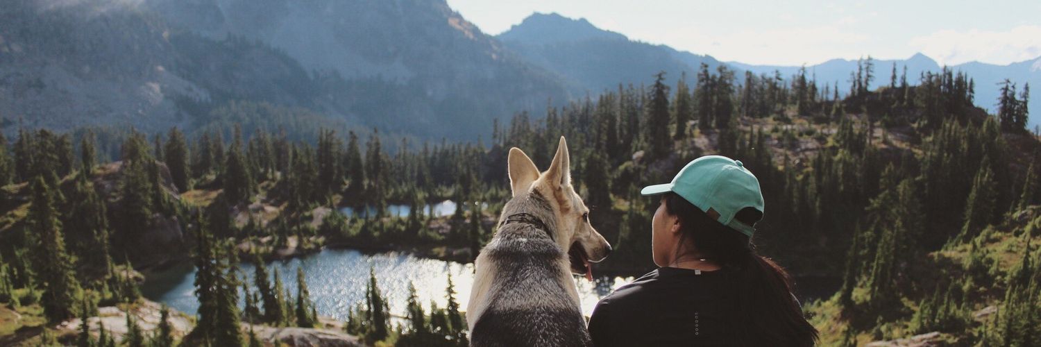 Dog Gone Seattle #Adopt banner