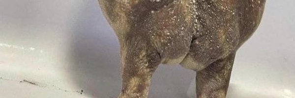 hunta63 Profile Banner