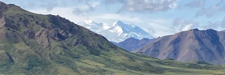 BenjimingDefi's profile banner image