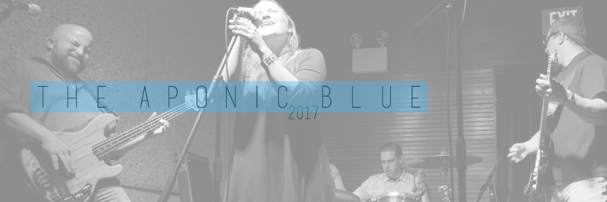 The_Aponic_Blue's profile banner image