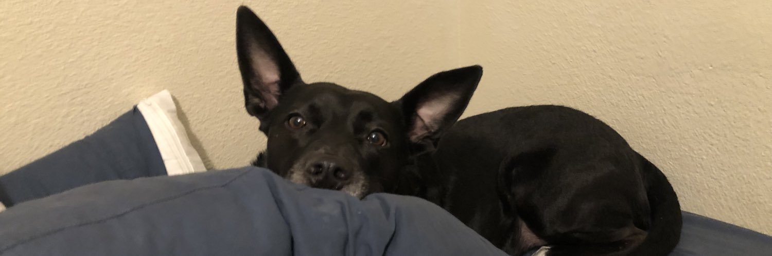 LessuhhlieeCee_'s profile banner image