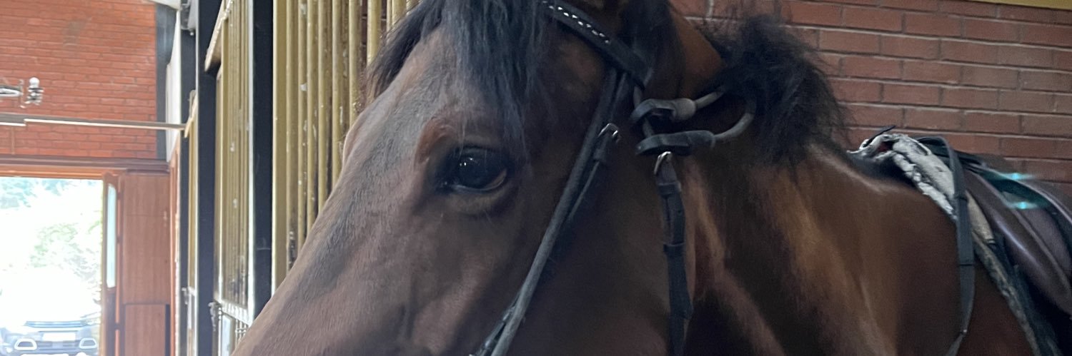 senexhorto's profile banner image