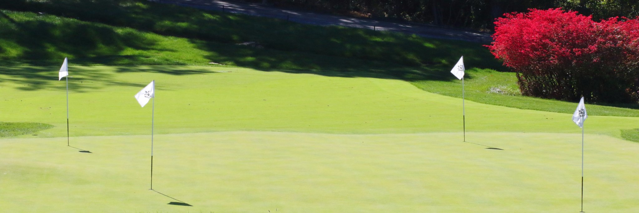 YCPGolf banner