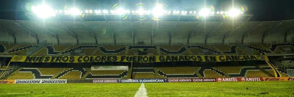 Coke Rojas banner