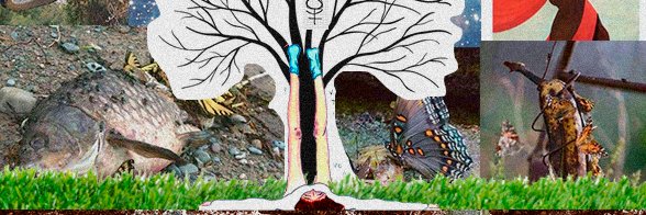 lauradekundera's profile banner image