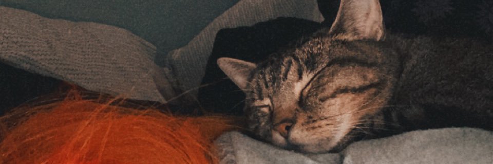 Dani banner